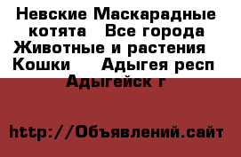 Невские Маскарадные котята - Все города Животные и растения » Кошки   . Адыгея респ.,Адыгейск г.